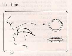 two vowels diphthongs